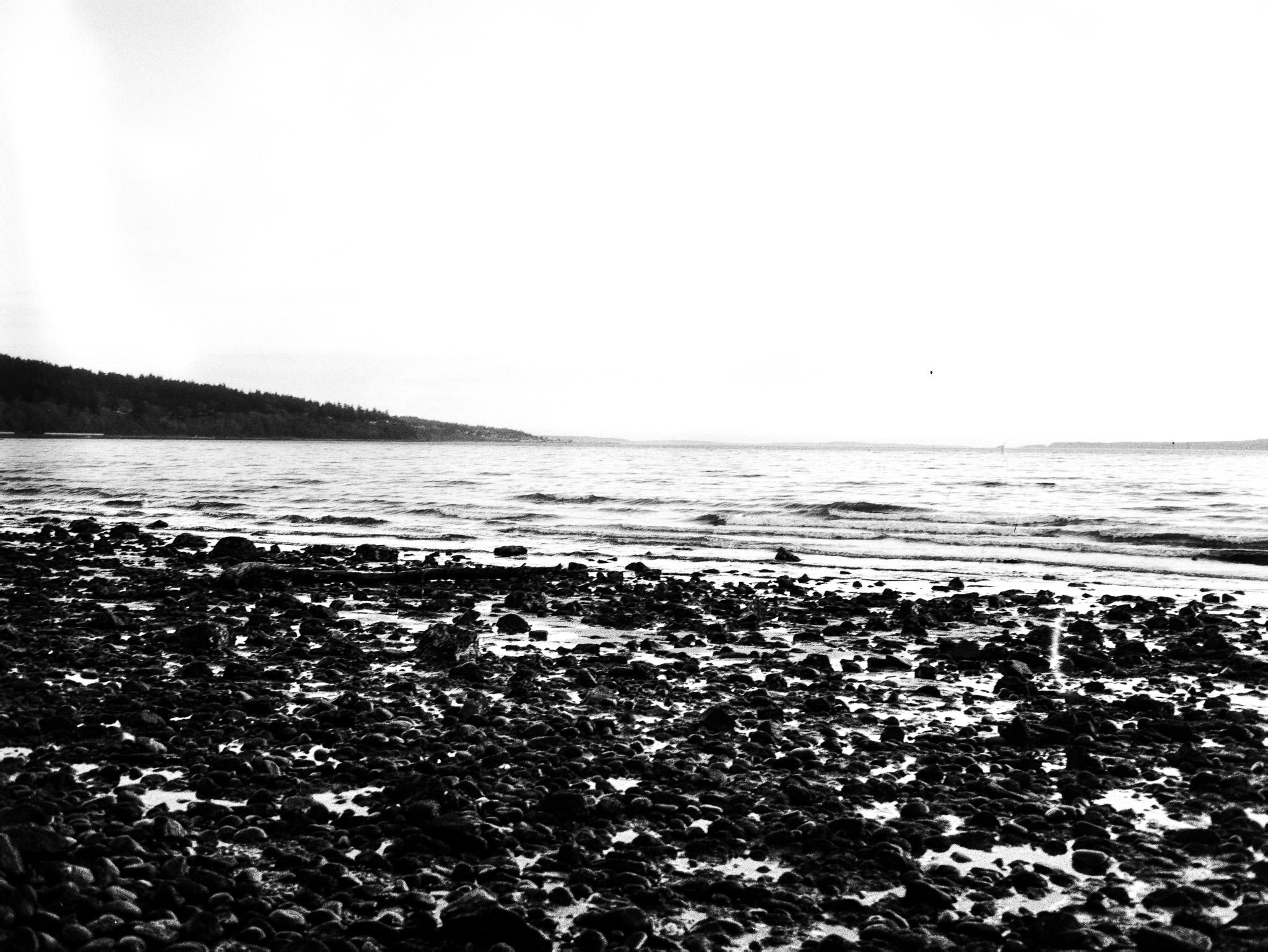 Photo 409e1129-f646-499b-9780-1e0f798eb547